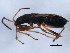  ( - 10BBCHEM-0422)  @12 [ ] CreativeCommons - Attribution (2010) CBG Photography Group Centre for Biodiversity Genomics