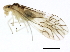  ( - 10BBCHEM-0861)  @13 [ ] CreativeCommons - Attribution (2010) CBG Photography Group Centre for Biodiversity Genomics