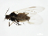  ( - 10BBCHEM-0873)  @13 [ ] CreativeCommons - Attribution (2010) CBG Photography Group Centre for Biodiversity Genomics