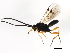  ( - 09BBEHY-0694)  @12 [ ] CreativeCommons - Attribution (2010) Unspecified Centre for Biodiversity Genomics