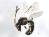 ( - 09BBEHY-0734)  @14 [ ] CreativeCommons - Attribution (2010) Unspecified Centre for Biodiversity Genomics