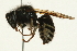  ( - 09BBEHY-0050)  @13 [ ] CreativeCommons - Attribution (2009) Unspecified Centre for Biodiversity Genomics