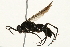  ( - 09BBEHY-0307)  @11 [ ] CreativeCommons - Attribution (2010) Unspecified Centre for Biodiversity Genomics