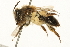  ( - 09BBEHY-0085)  @13 [ ] CreativeCommons - Attribution (2009) Unspecified Centre for Biodiversity Genomics