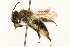  ( - 09BBEHY-0086)  @13 [ ] CreativeCommons - Attribution (2009) Unspecified Centre for Biodiversity Genomics