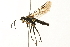  ( - 09BBEHY-0109)  @13 [ ] CreativeCommons - Attribution (2009) Unspecified Centre for Biodiversity Genomics