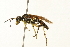  ( - 09BBEHY-0110)  @13 [ ] CreativeCommons - Attribution (2009) Unspecified Centre for Biodiversity Genomics