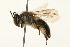  ( - 09BBEHY-0124)  @13 [ ] CreativeCommons - Attribution (2009) Unspecified Centre for Biodiversity Genomics