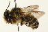  ( - 09BBEHY-0163)  @14 [ ] CreativeCommons - Attribution (2009) Unspecified Centre for Biodiversity Genomics