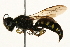  ( - 09BBEHY-0458)  @13 [ ] CreativeCommons - Attribution (2010) Unspecified Centre for Biodiversity Genomics