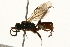  ( - 09BBEHY-0464)  @12 [ ] CreativeCommons - Attribution (2010) Unspecified Centre for Biodiversity Genomics
