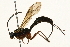  ( - 09BBEHY-0465)  @14 [ ] CreativeCommons - Attribution (2010) Unspecified Centre for Biodiversity Genomics