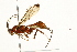  ( - 09BBEHY-0481)  @11 [ ] CreativeCommons - Attribution (2010) Unspecified Centre for Biodiversity Genomics