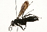  ( - 09BBEHY-0526)  @13 [ ] CreativeCommons - Attribution (2010) Unspecified Centre for Biodiversity Genomics