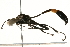  ( - 09BBEHY-0543)  @12 [ ] CreativeCommons - Attribution (2010) Unspecified Centre for Biodiversity Genomics