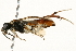  ( - 09BBEHY-0549)  @13 [ ] CreativeCommons - Attribution (2010) Unspecified Centre for Biodiversity Genomics