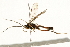  ( - 09BBEHY-0588)  @13 [ ] CreativeCommons - Attribution (2010) Unspecified Centre for Biodiversity Genomics
