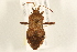  ( - 09BBHEM-0003)  @13 [ ] CreativeCommons - Attribution (2009) Unspecified Centre for Biodiversity Genomics
