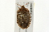  ( - 09BBHEM-0048)  @14 [ ] CreativeCommons - Attribution (2009) Unspecified Centre for Biodiversity Genomics