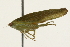  ( - 09BBHEM-0182)  @13 [ ] CreativeCommons - Attribution (2009) Unspecified Centre for Biodiversity Genomics