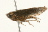  ( - 09BBHEM-0247)  @11 [ ] CreativeCommons - Attribution (2009) Unspecified Centre for Biodiversity Genomics
