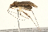  ( - 09BBHEM-0281)  @13 [ ] CreativeCommons - Attribution (2009) Unspecified Centre for Biodiversity Genomics