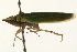  ( - 09BBHEM-0361)  @13 [ ] CreativeCommons - Attribution (2009) Unspecified Centre for Biodiversity Genomics