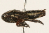  ( - 09BBHEM-0427)  @12 [ ] CreativeCommons - Attribution (2009) Unspecified Centre for Biodiversity Genomics