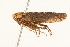  ( - 09BBHEM-0429)  @13 [ ] CreativeCommons - Attribution (2009) Unspecified Centre for Biodiversity Genomics