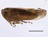  ( - BIOUG01236-B08)  @13 [ ] CreativeCommons - Attribution (2012) CBG Photography Group Centre for Biodiversity Genomics