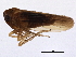  ( - BIOUG01236-B10)  @12 [ ] CreativeCommons - Attribution (2012) CBG Photography Group Centre for Biodiversity Genomics