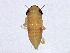  ( - BIOUG01236-C01)  @13 [ ] CreativeCommons - Attribution (2012) CBG Photography Group Centre for Biodiversity Genomics