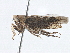  ( - BIOUG02203-B12)  @13 [ ] CreativeCommons - Attribution (2013) CBG Photography Group Centre for Biodiversity Genomics