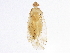  ( - BIOUG02319-B12)  @13 [ ] CreativeCommons - Attribution (2012) CBG Photography Group Centre for Biodiversity Genomics