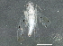  ( - BIOUG02319-G07)  @12 [ ] CreativeCommons - Attribution (2012) CBG Photography Group Centre for Biodiversity Genomics