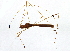  ( - BIOUG02053-H02)  @13 [ ] CreativeCommons - Attribution (2012) CBG Photography Group Centre for Biodiversity Genomics