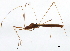  ( - BIOUG02053-H03)  @13 [ ] CreativeCommons - Attribution (2012) CBG Photography Group Centre for Biodiversity Genomics