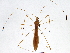  ( - BIOUG02053-H04)  @13 [ ] CreativeCommons - Attribution (2012) CBG Photography Group Centre for Biodiversity Genomics