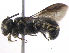  ( - BIOUG02487-E01)  @13 [ ] CreativeCommons - Attribution (2013) CBG Photography Group Centre for Biodiversity Genomics