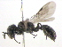 ( - BIOUG02491-C09)  @13 [ ] CreativeCommons - Attribution (2013) CBG Photography Group Centre for Biodiversity Genomics