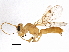  (Yelicones - BIOUG02575-C04)  @15 [ ] CreativeCommons - Attribution (2013) CBG Photography Group Centre for Biodiversity Genomics