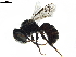  ( - BIOUG02577-H05)  @13 [ ] CreativeCommons - Attribution (2019) CBG Photography Group Centre for Biodiversity Genomics