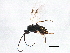  ( - BIOUG02584-C11)  @12 [ ] CreativeCommons - Attribution (2013) CBG Photography Group Centre for Biodiversity Genomics