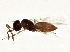  ( - BIOUG02619-F11)  @14 [ ] CreativeCommons - Attribution (2013) CBG Photography Group Centre for Biodiversity Genomics