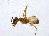 ( - BIOUG02620-A07)  @13 [ ] CreativeCommons - Attribution (2013) CBG Photography Group Centre for Biodiversity Genomics
