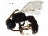  ( - BIOUG02720-C08)  @12 [ ] CreativeCommons - Attribution (2018) CBG Photography Group Centre for Biodiversity Genomics