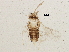  ( - BIOUG02764-D11)  @12 [ ] CreativeCommons - Attribution (2013) CBG Photography Group Centre for Biodiversity Genomics