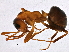  ( - BIOUG02774-A01)  @14 [ ] CreativeCommons - Attribution (2013) CBG Photography Group Centre for Biodiversity Genomics