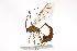  ( - BIOUG02493-D10)  @14 [ ] CreativeCommons - Attribution (2013) CBG Photography Group Centre for Biodiversity Genomics