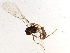  ( - BIOUG02574-D05)  @12 [ ] CreativeCommons - Attribution (2014) CBG Photography Group Centre for Biodiversity Genomics